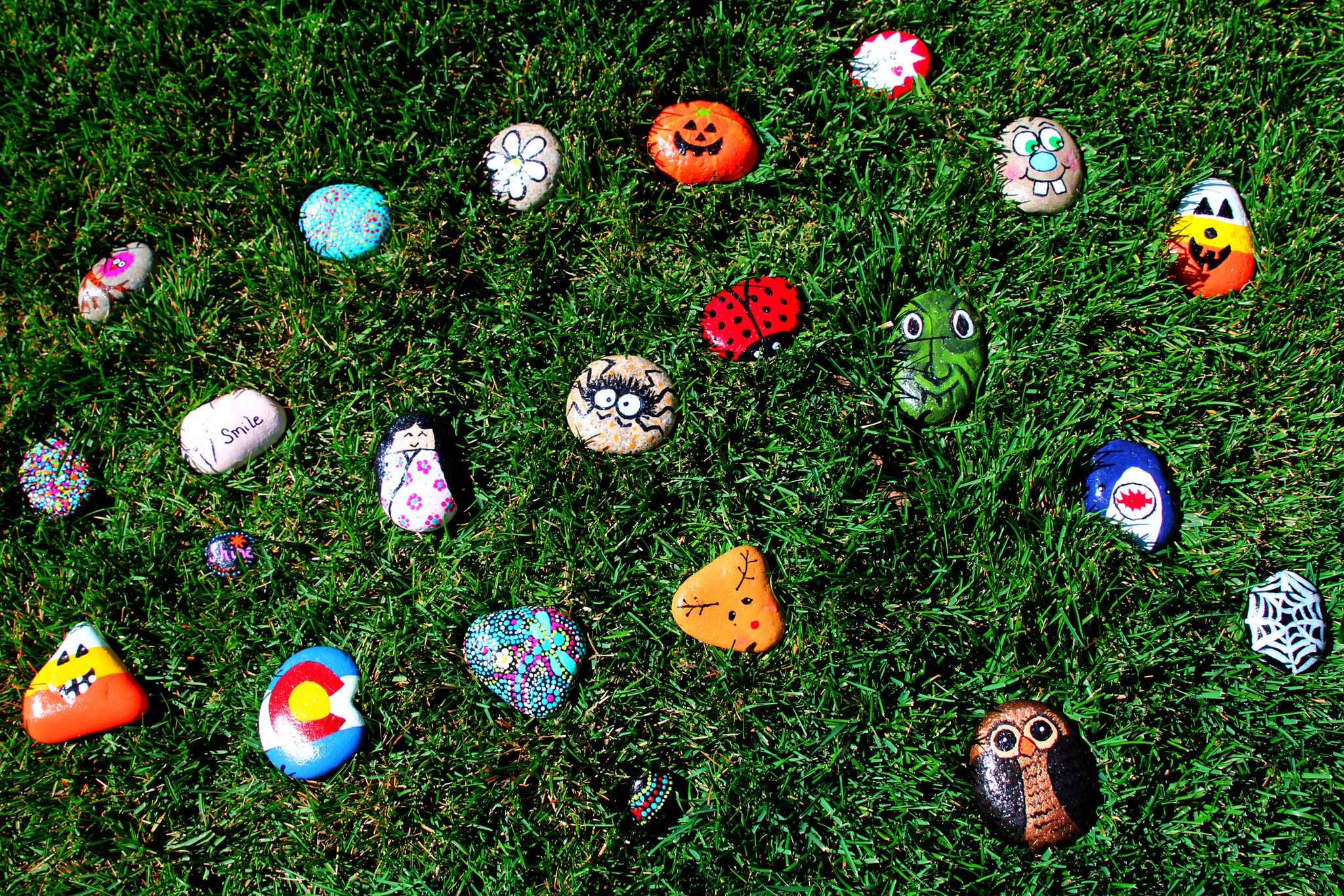 Skyland Village Westminster