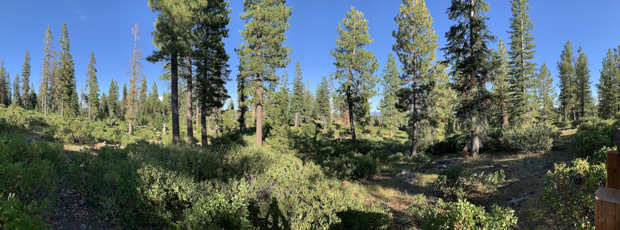 Sisters Real Estate Sisters Sold Properties