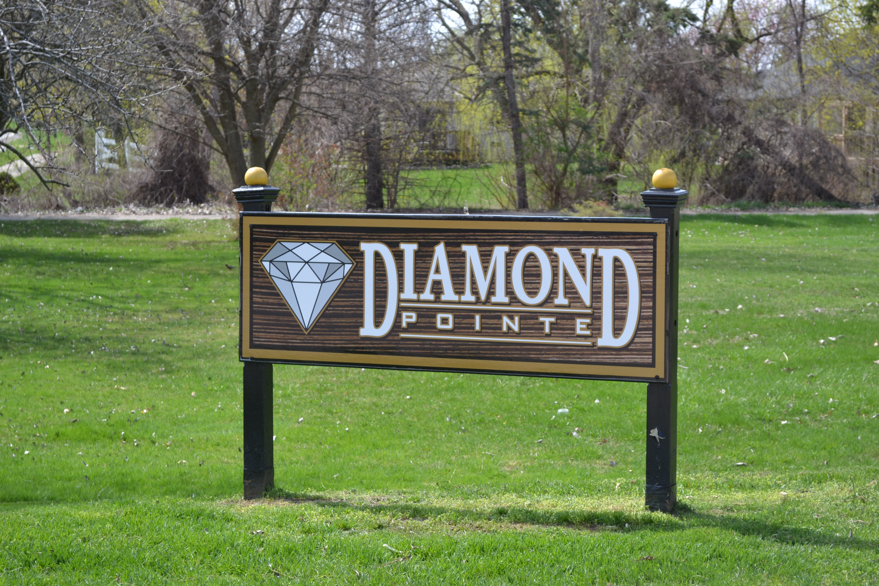 Diamond Pointe