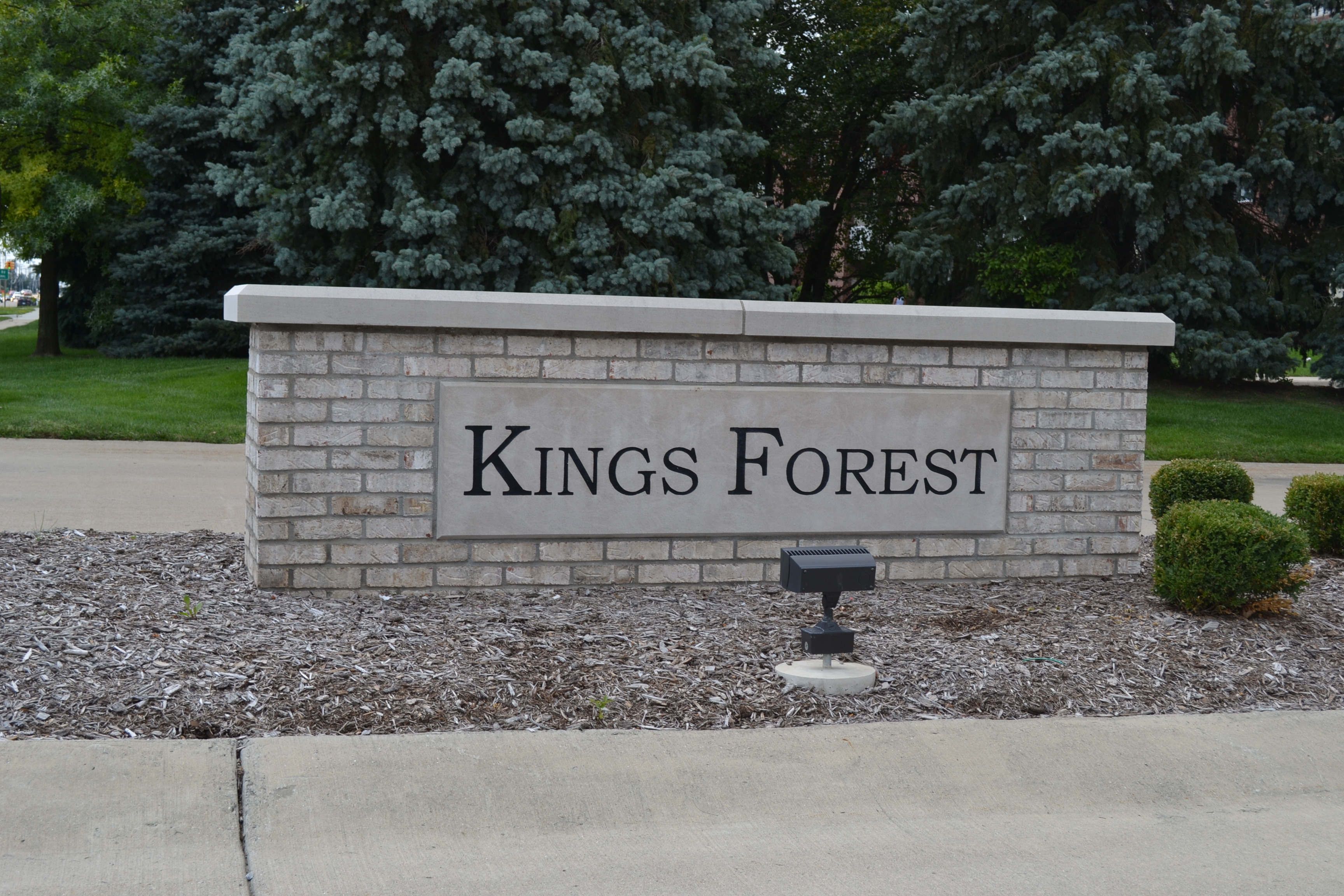 Kings Forest