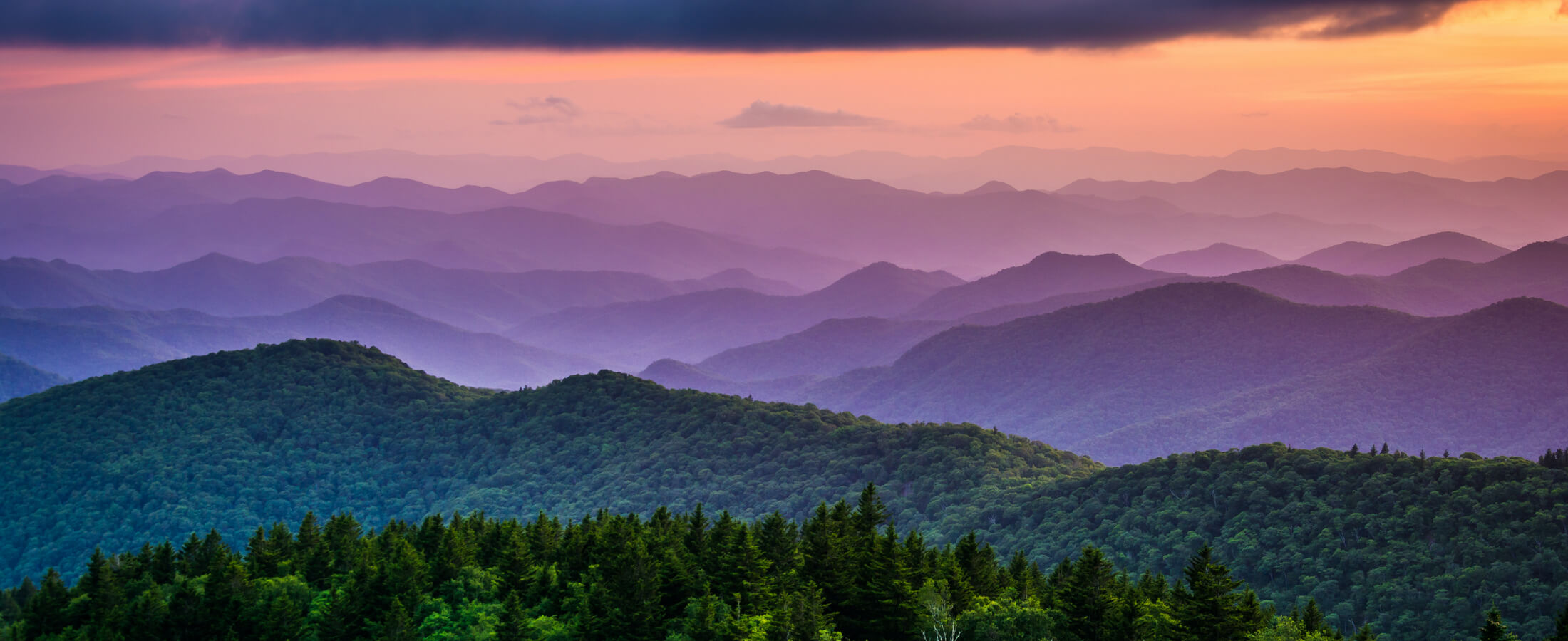 8 Reasons Arden, NC Is A Great Place To Live