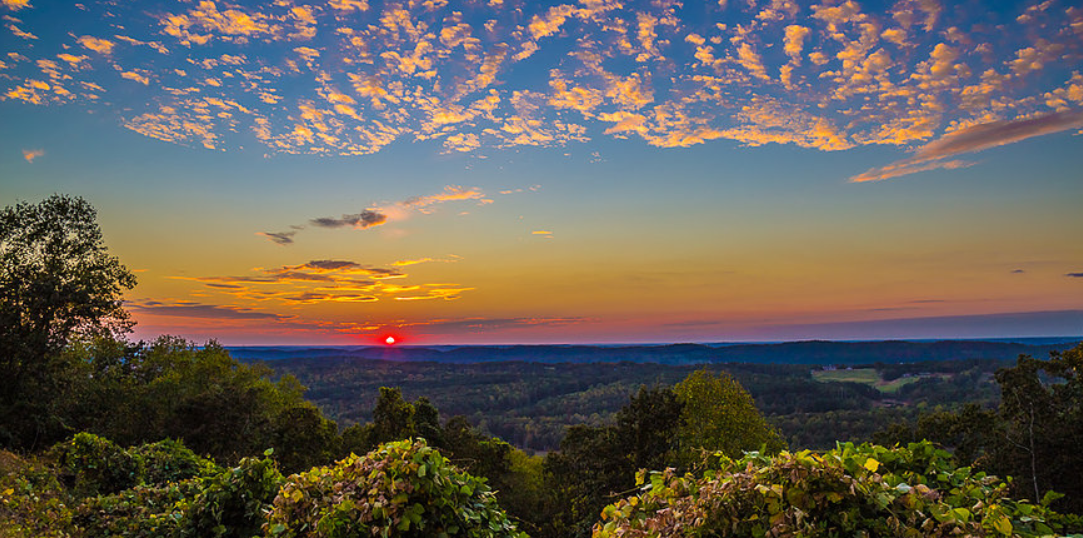 Bluff Park Homes for Sale