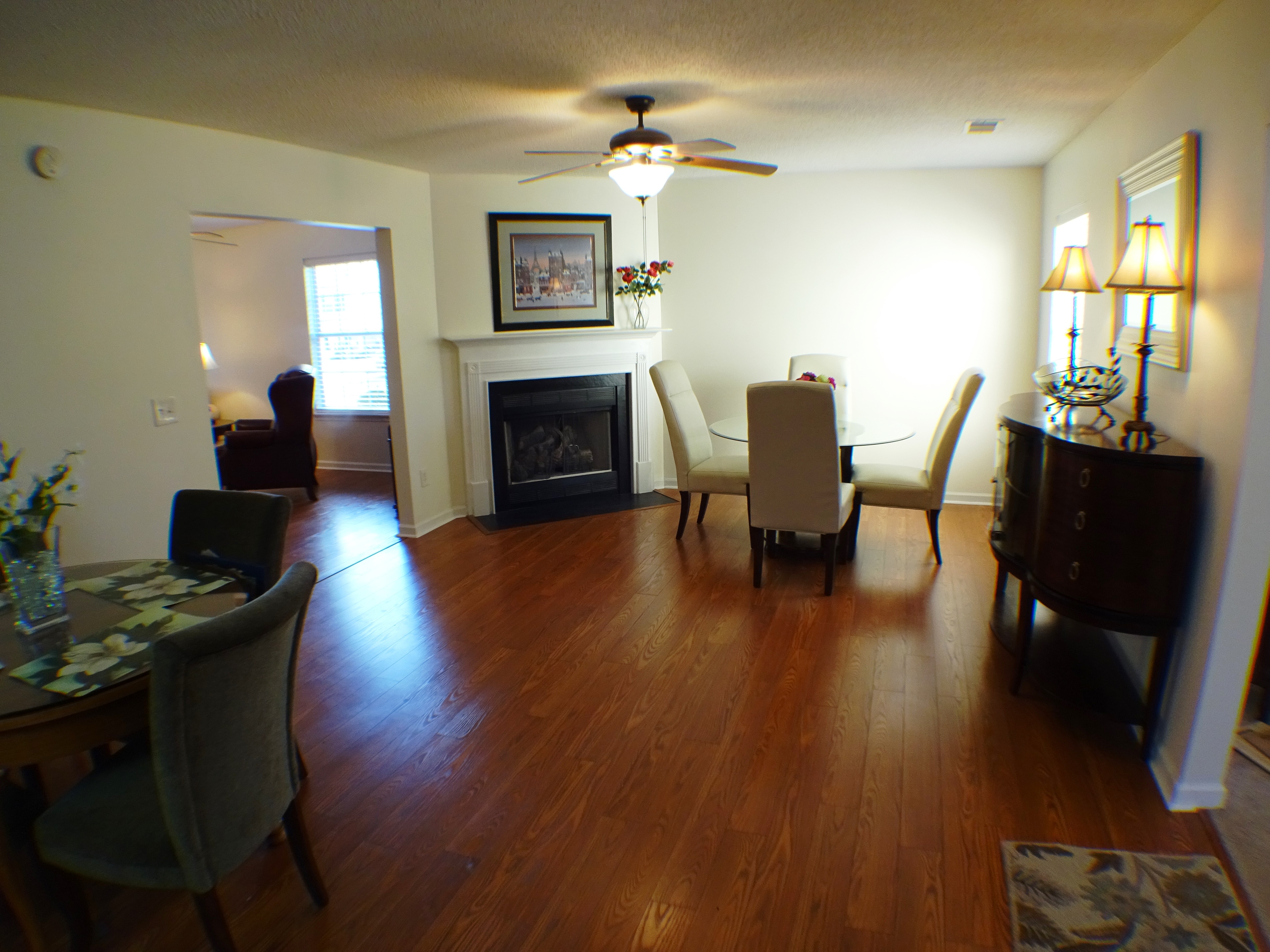 117 Wingspan Way, Chapin, SC 29036