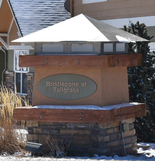 Bristlecone at Tallgrass Homes for Sale Aurora CO Homes for sale in