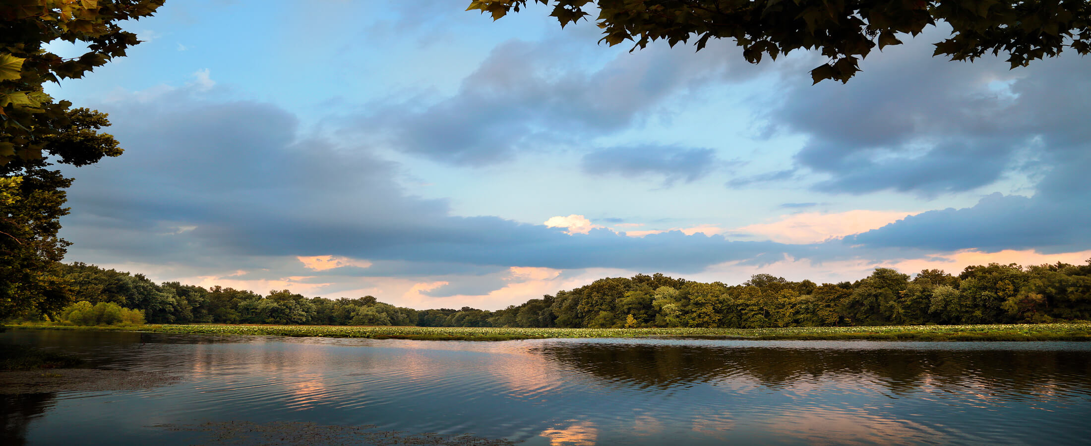 Springfield MO Real Estate Springfield MO Homes for Sale