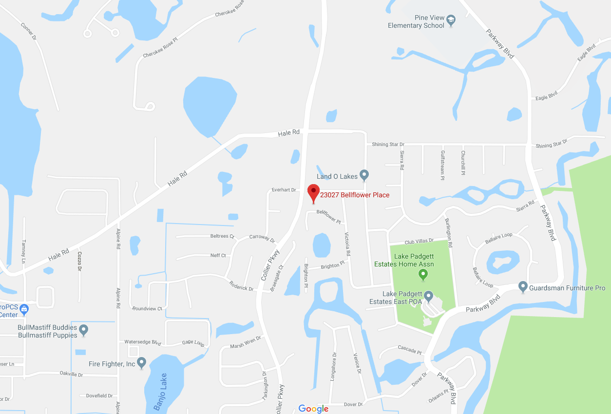 Coming Soon! Lake Padgett Estate East Home on 1/4 Acre Completely remolded including New Roof!