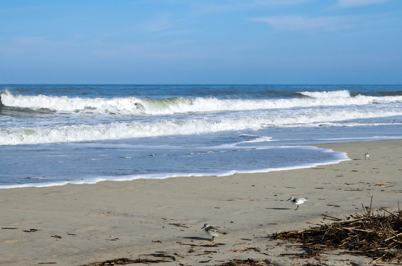 Admirals View Real Estate Admirals View Properties for Sale