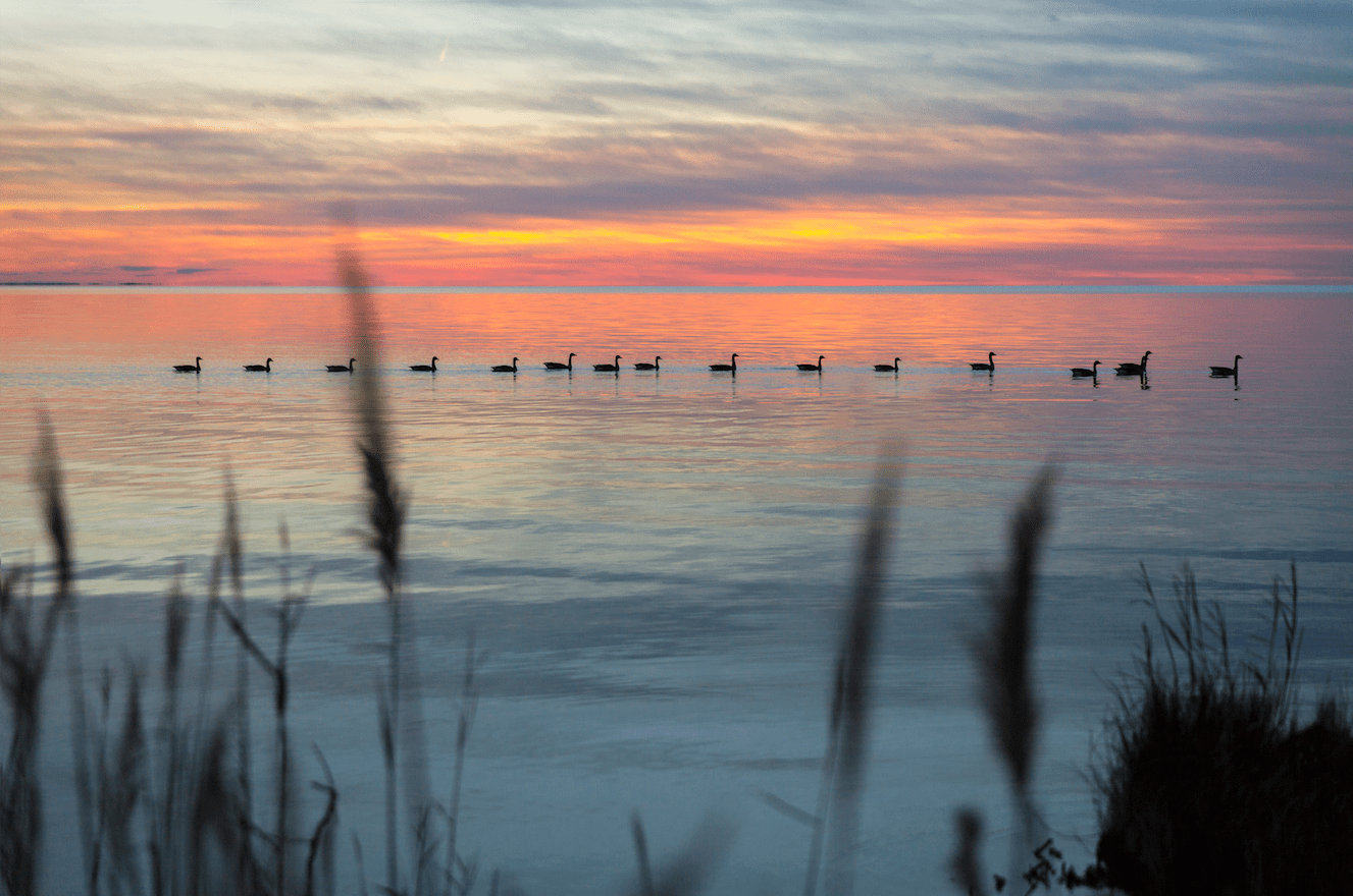 Old Nags Head Cove Real Estate Old Nags Head Cove Properties for Sale