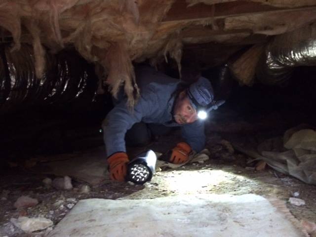 Interview with Patrick Walsh, Home Inspector