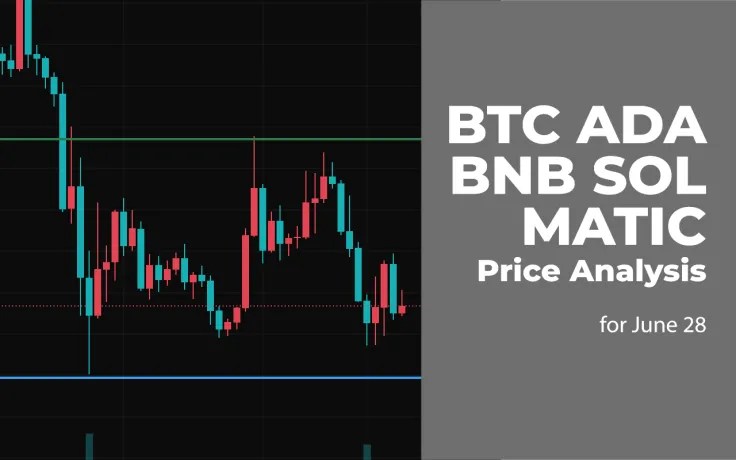 BTC, ADA, BNB, SOL and MATIC Price Analysis for June 28
