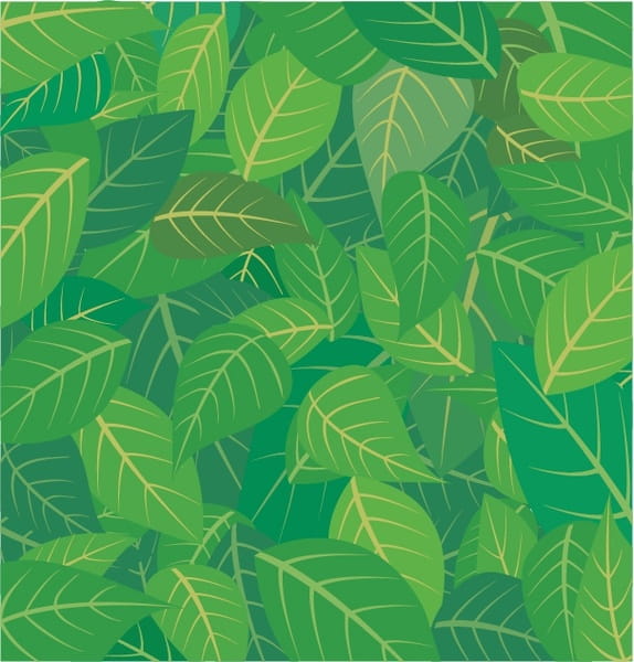 Green leaves background vector eps UIDownload