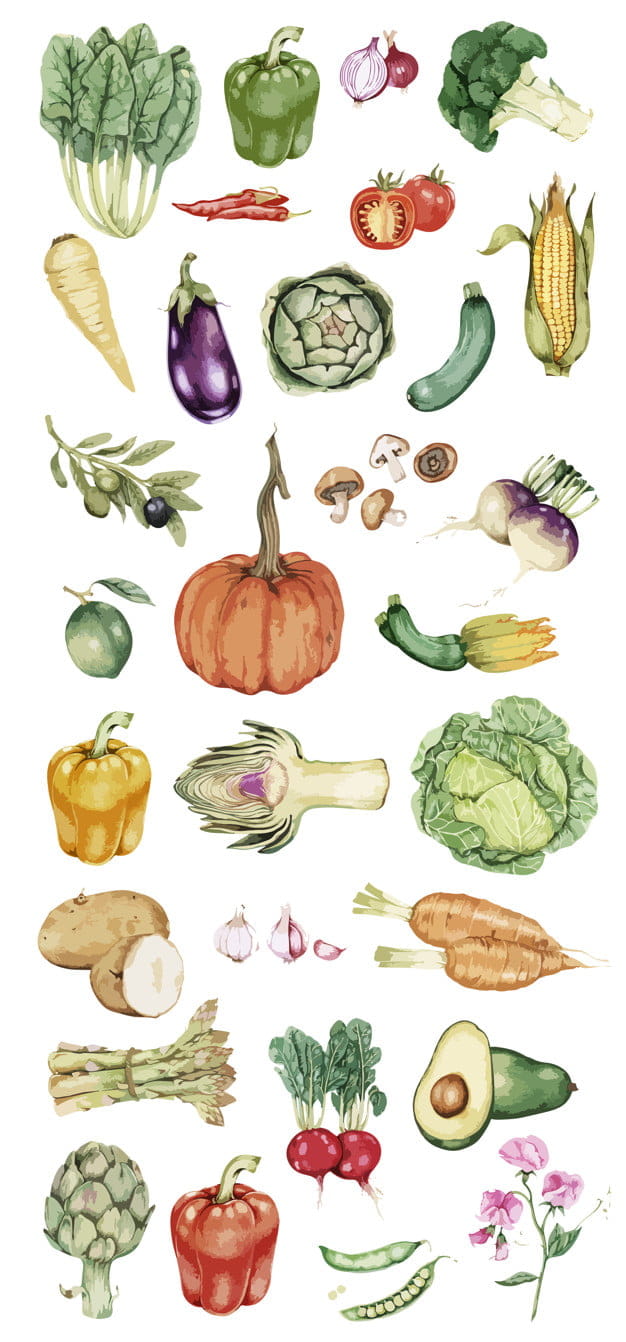 Hand drawn vegetable collection vector eps UIDownload