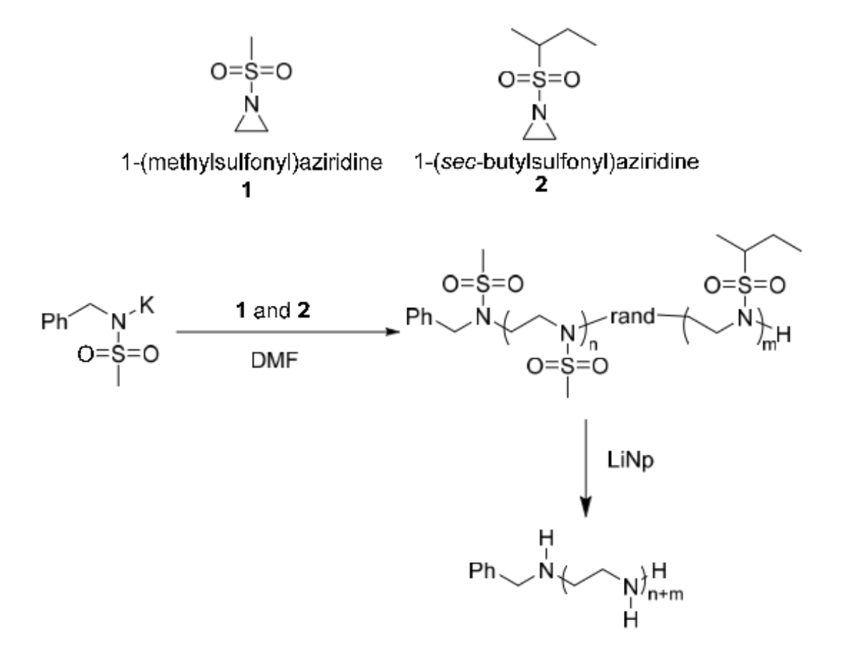 Living anionic ring-opening copolymerization of two different N