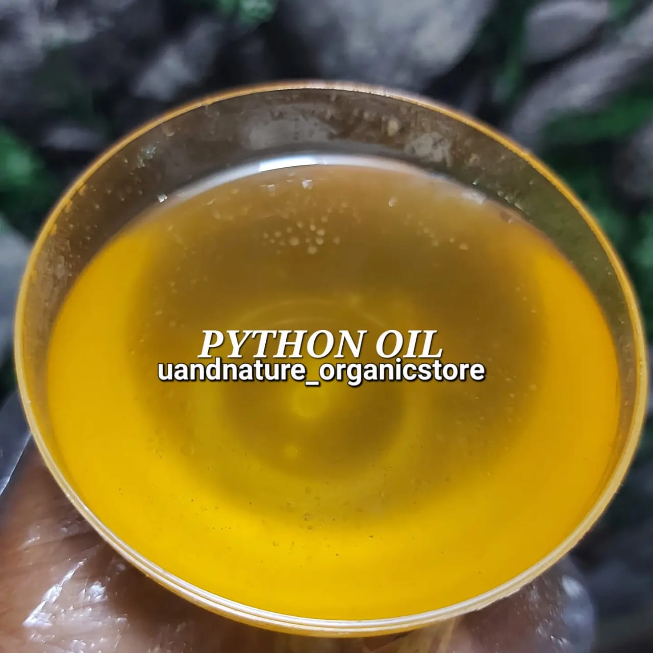 PYTHON OIL UANDNATURE