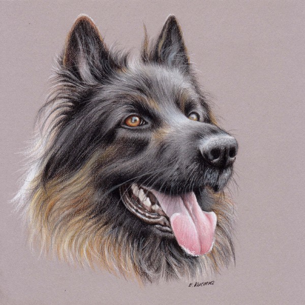 UART Tip Drawing Fur with Colored Pencils StepbyStepUART