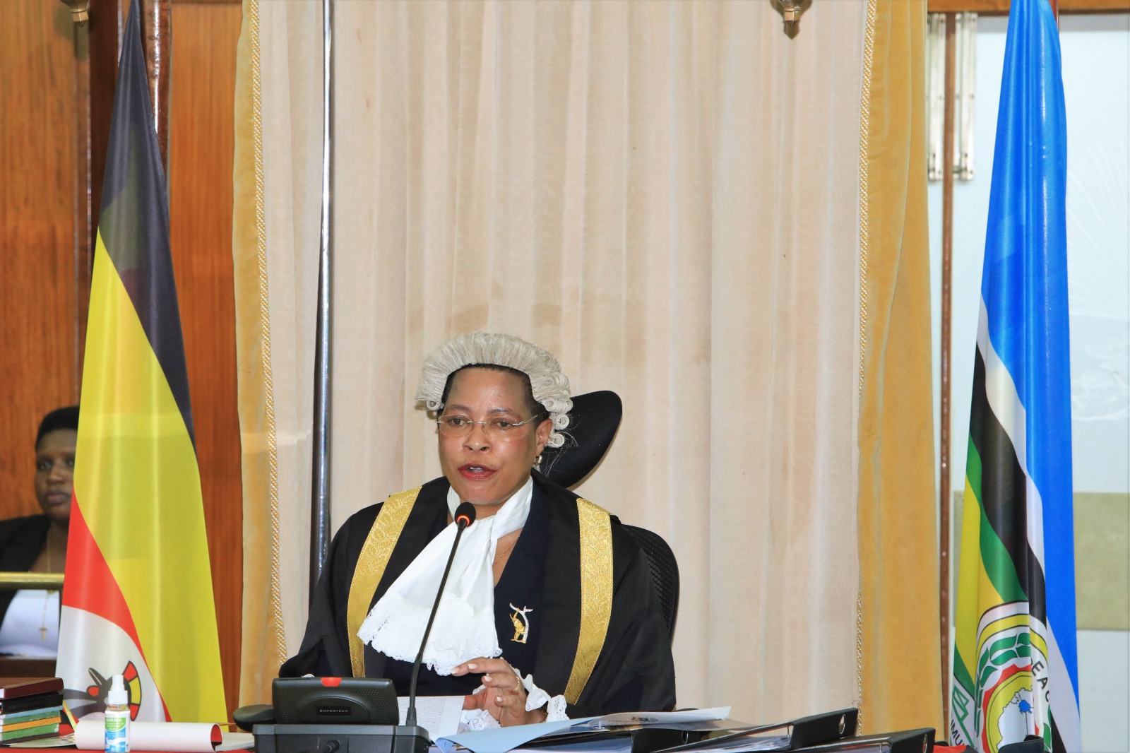 Speaker Calls for Implementation of Road Safety Act Amidst Rising Road