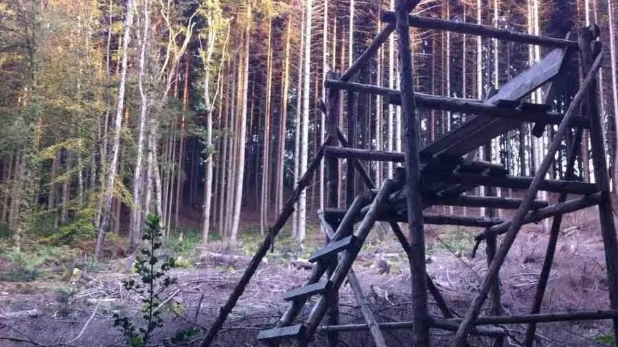 Best Scent Eliminator at Morton Agee blog