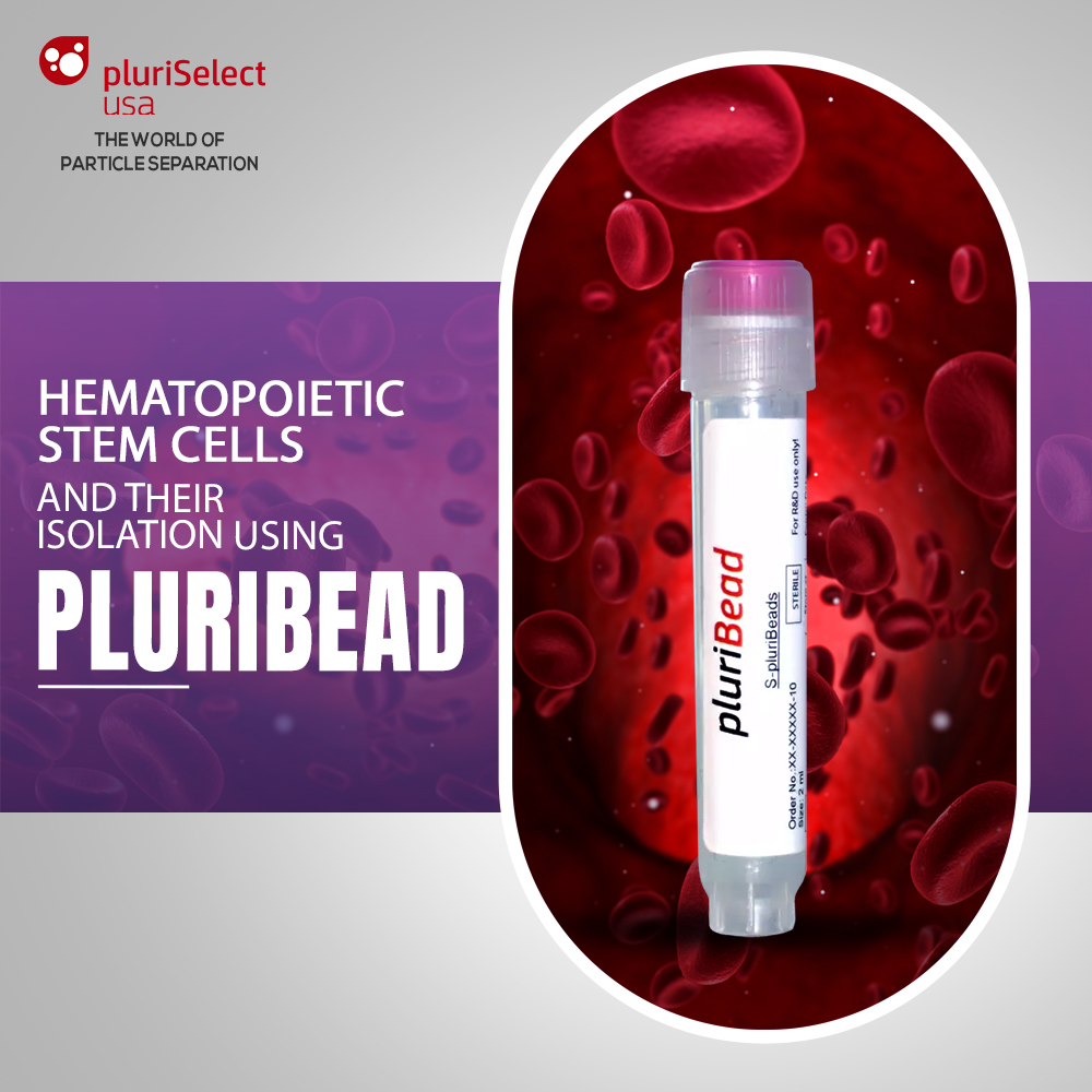 What Are Hematopoietic Stem Cells and What Do They Do?