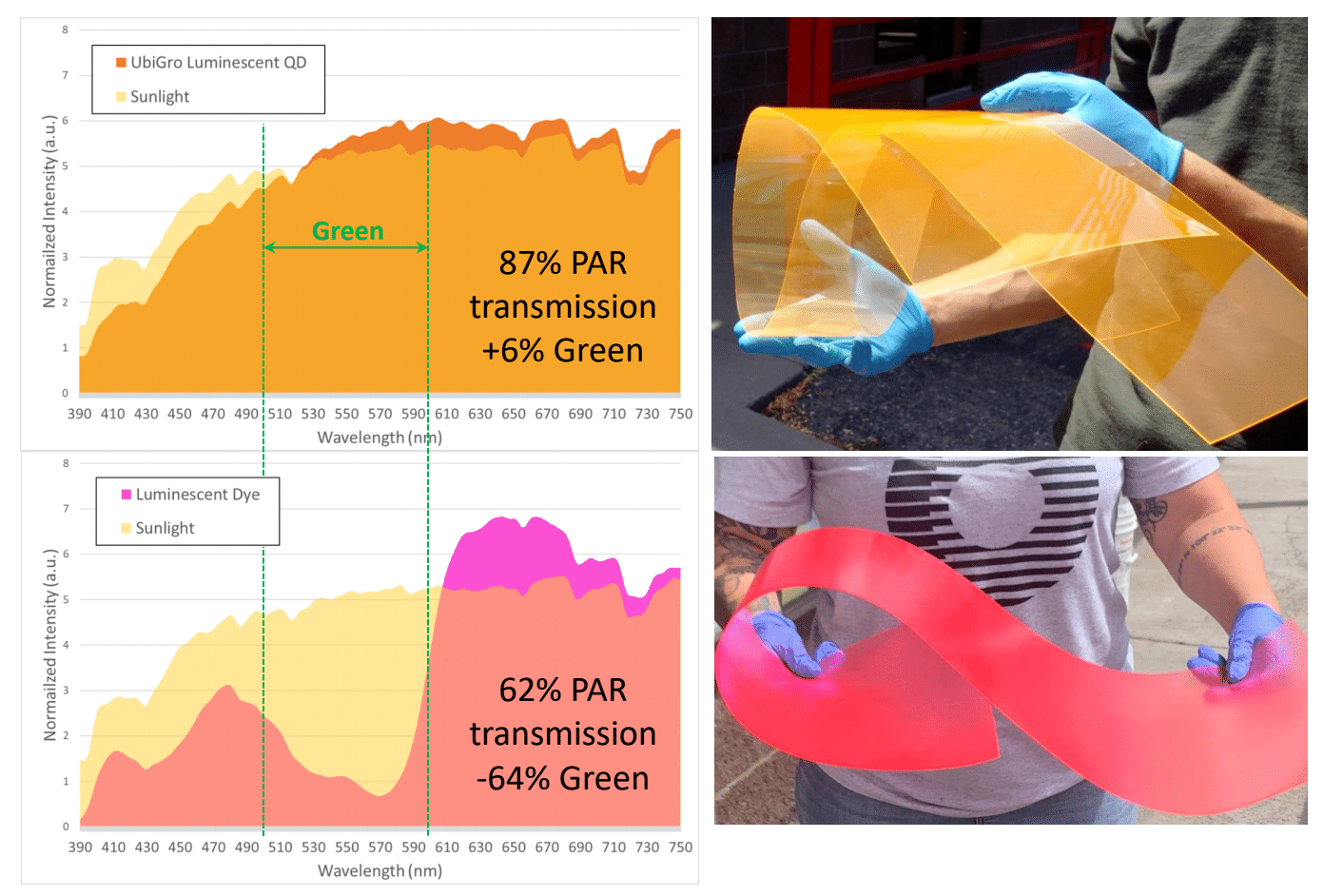 Green Light Photosynthesis Impact on Plant Growth UbiGro