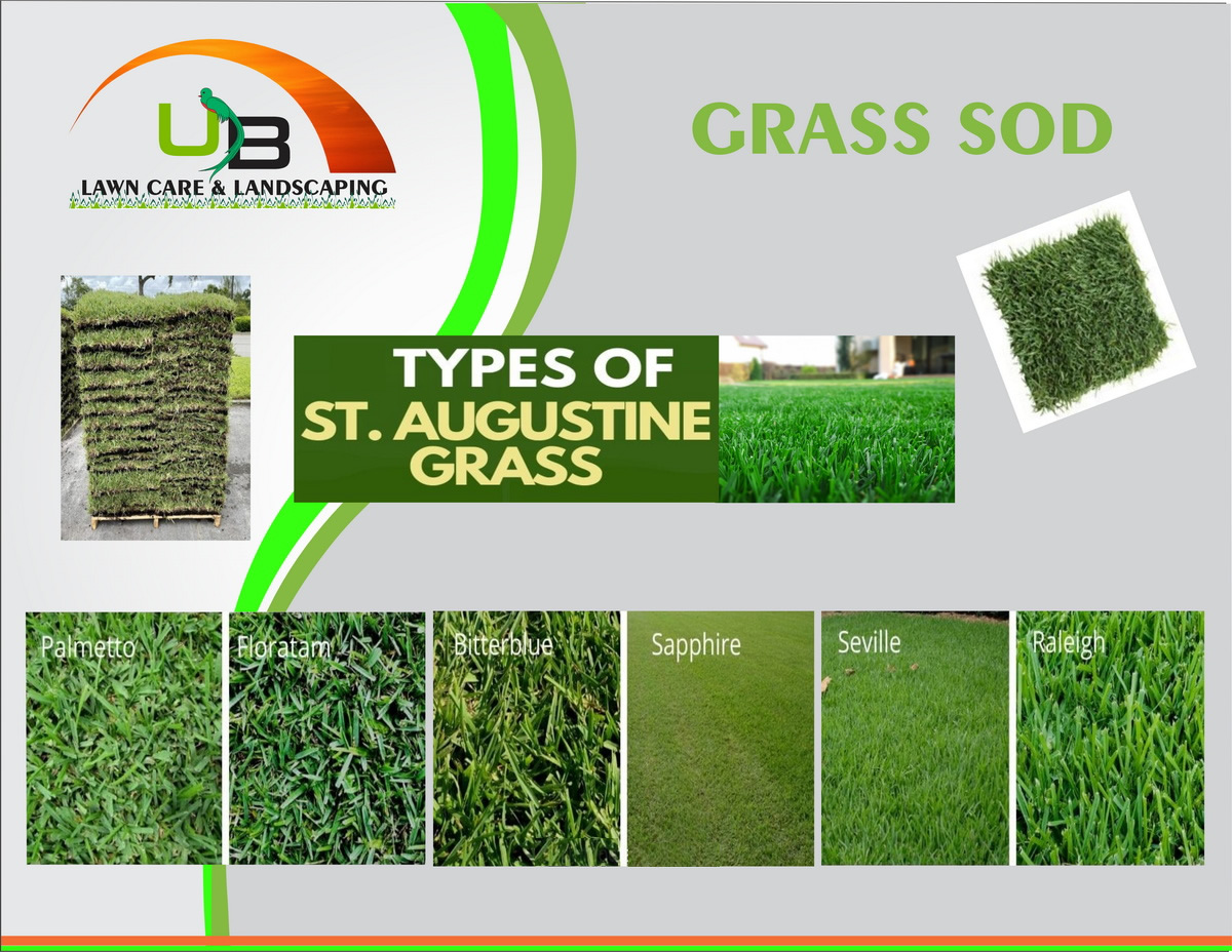 Grass Sod