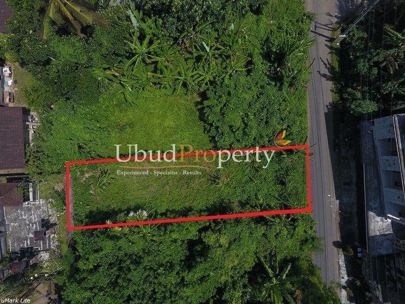 Ubud Property Land & Villas for sale & rent in Ubud, Bali