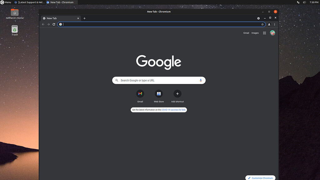 Double title bars on chromium when disabling "use system title bar and