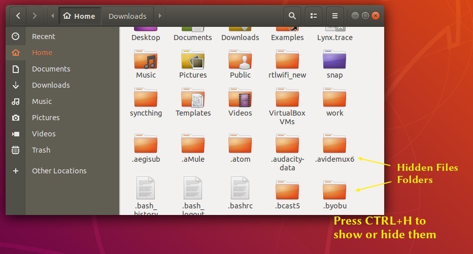 How to Hide Files / Folders (Without Renaming) in Ubuntu 18.04 UbuntuHandbook