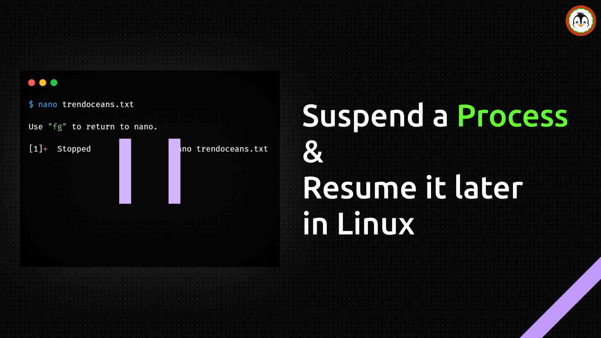 Suspend a Process and Resume it later in Linux