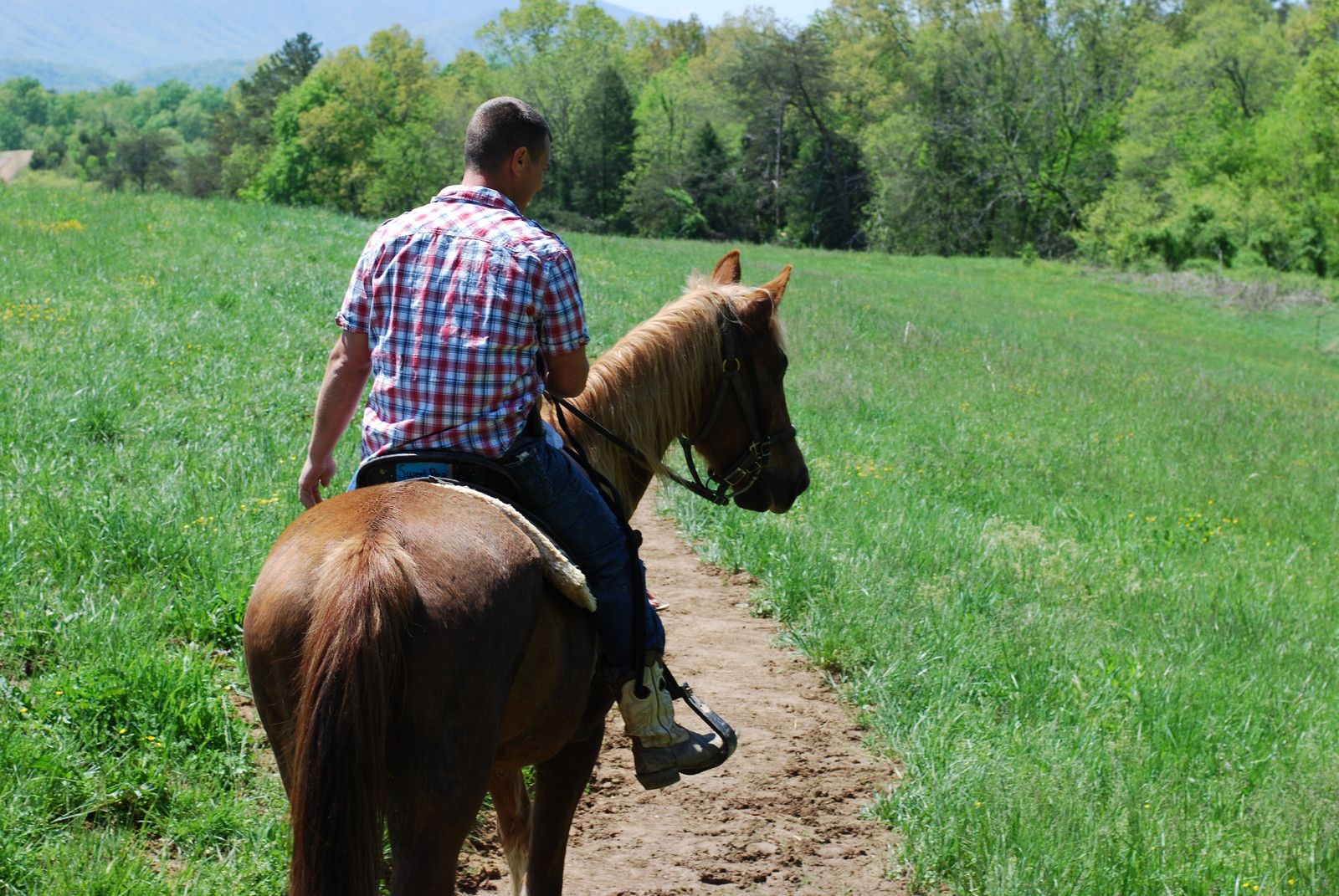 Horseback Riding in Tennessee Smoky Mountains Blue Mountain Cabins