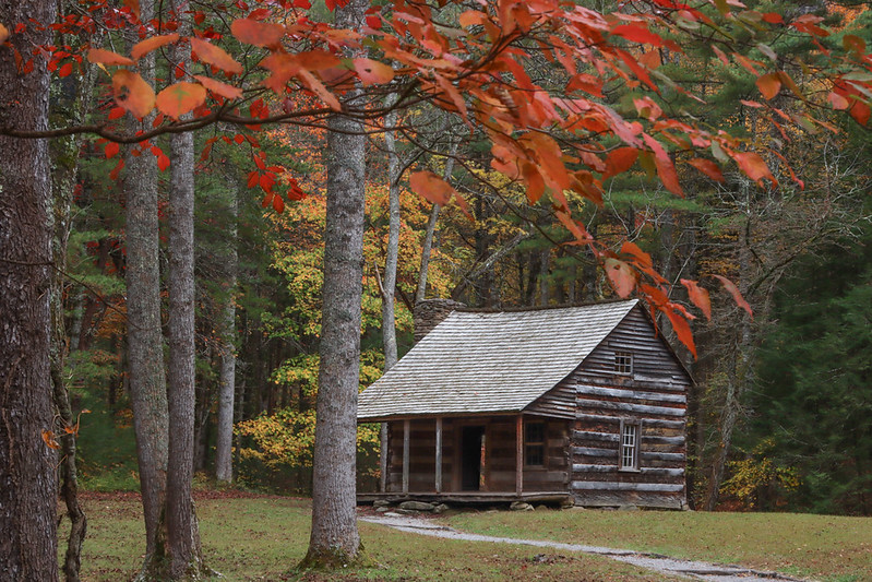 5 FamilyFriendly Things You Can Only Do in Cades Cove near Gatlinburg