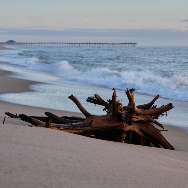 Outer Banks Netflix Series Dive into the Thrill of Season 4 Hatteras