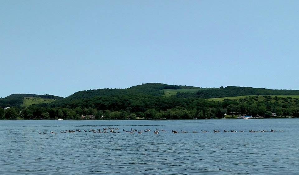 Trout Brook Unit 3 Cooperstown Stay