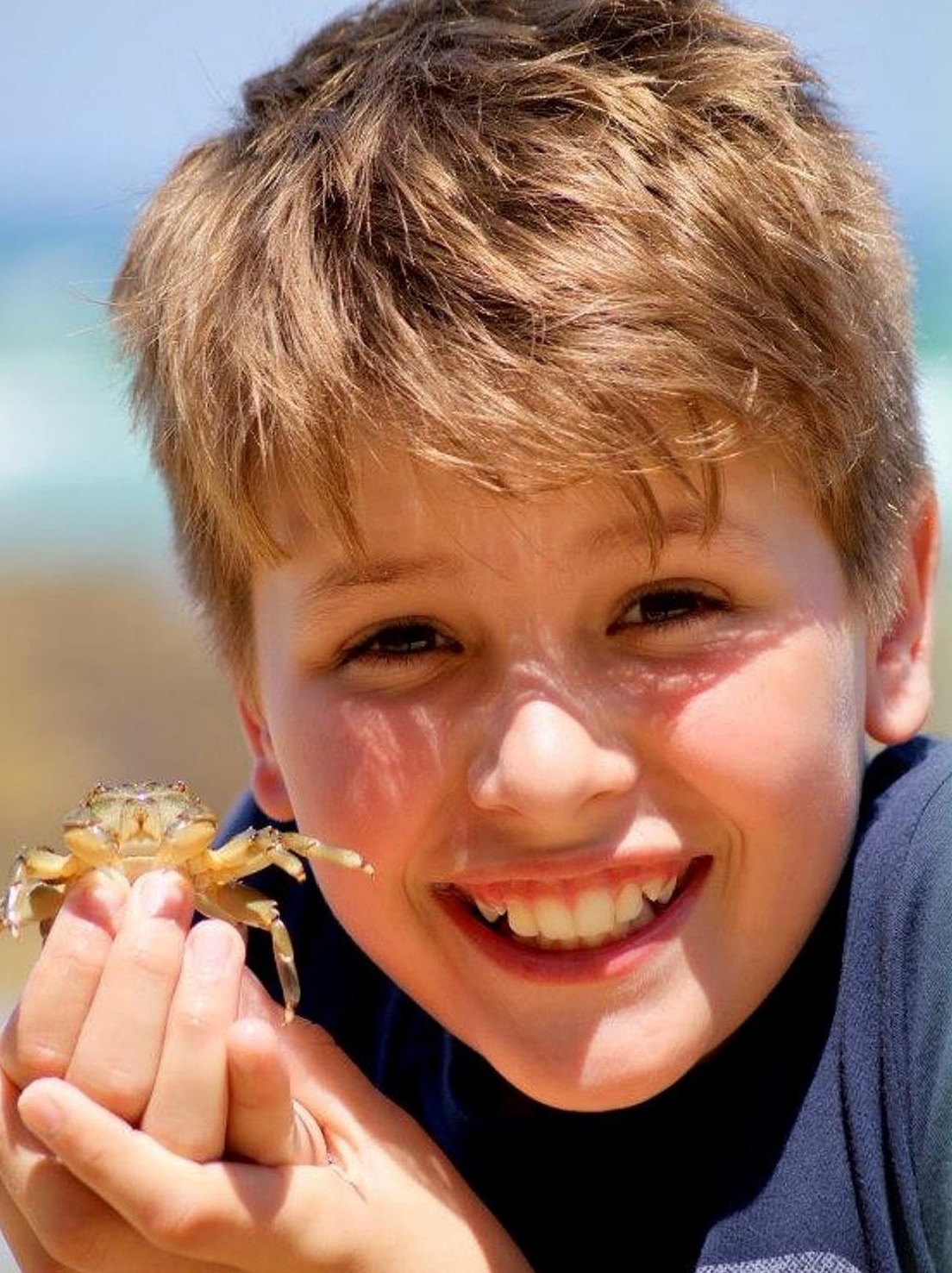 Things To Do In the Holden Beach Area Vacation Holden Beach NC