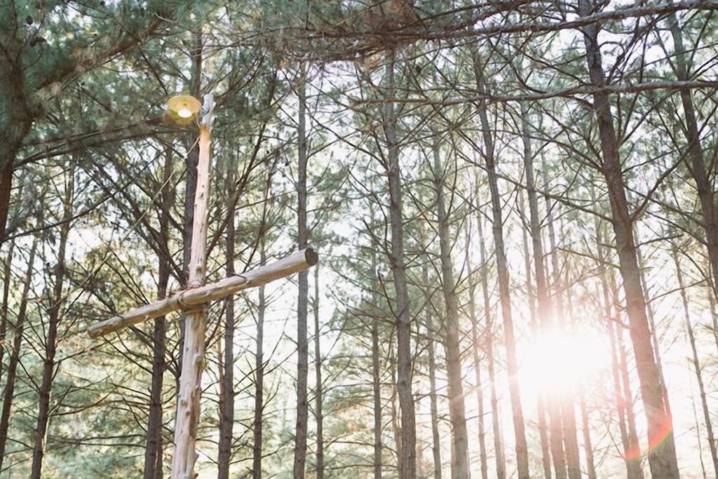 Julia's Cottage Music Springs