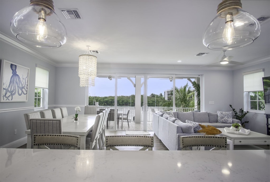 Pineapple Tides Pineapple Properties