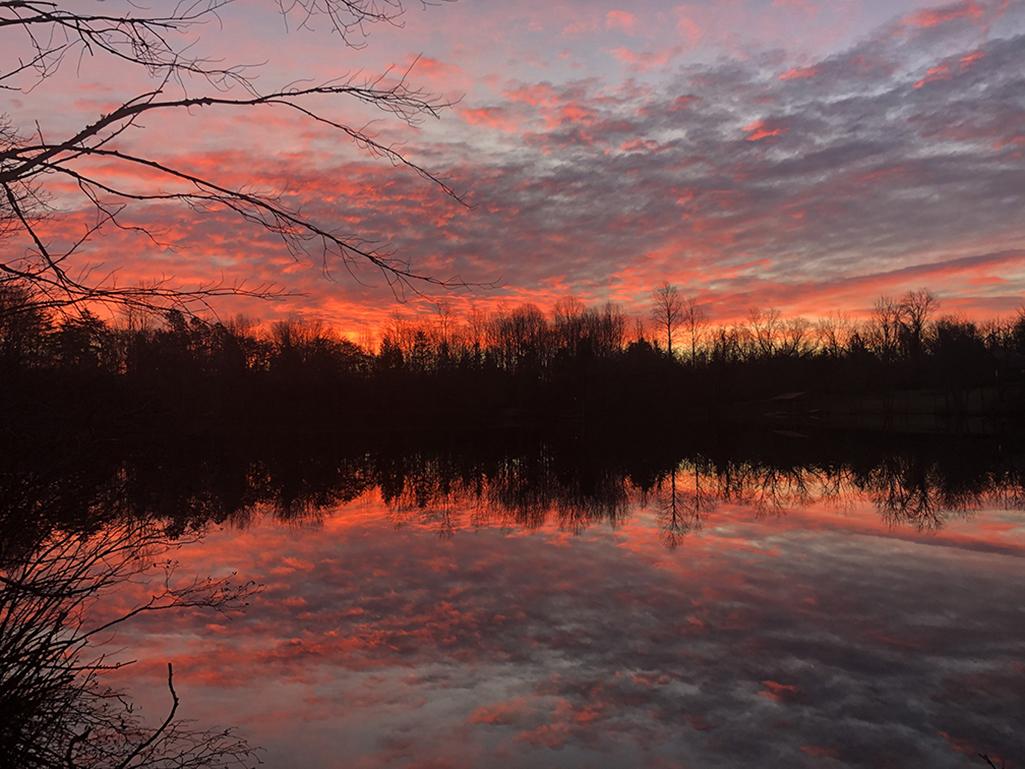Private Lake w/ Island 4 Unique RentalsHike, Swim, Fish, Boat Lake