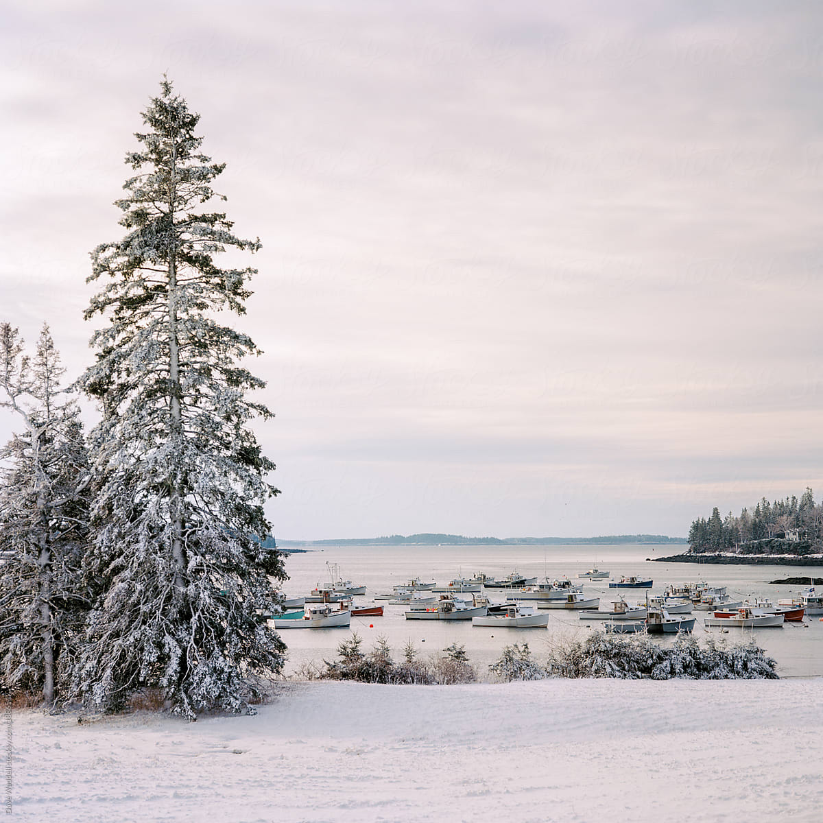 3 Reasons to Visit Midcoast Maine this Winter Maine Cottage Keepers
