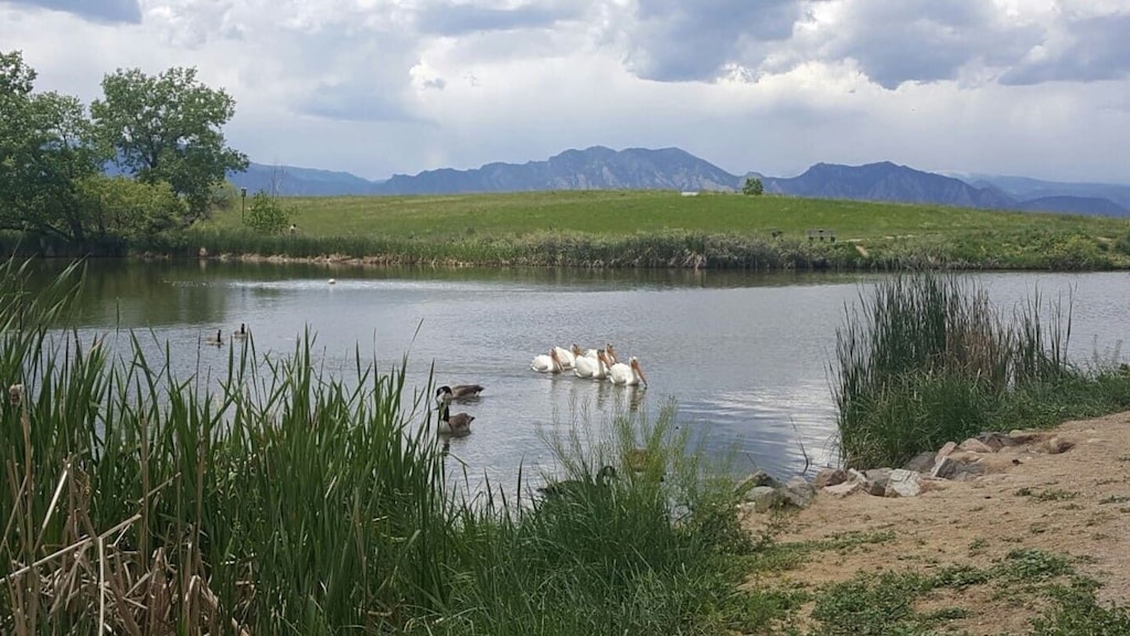 Lac Amora Retreat Susie Properties