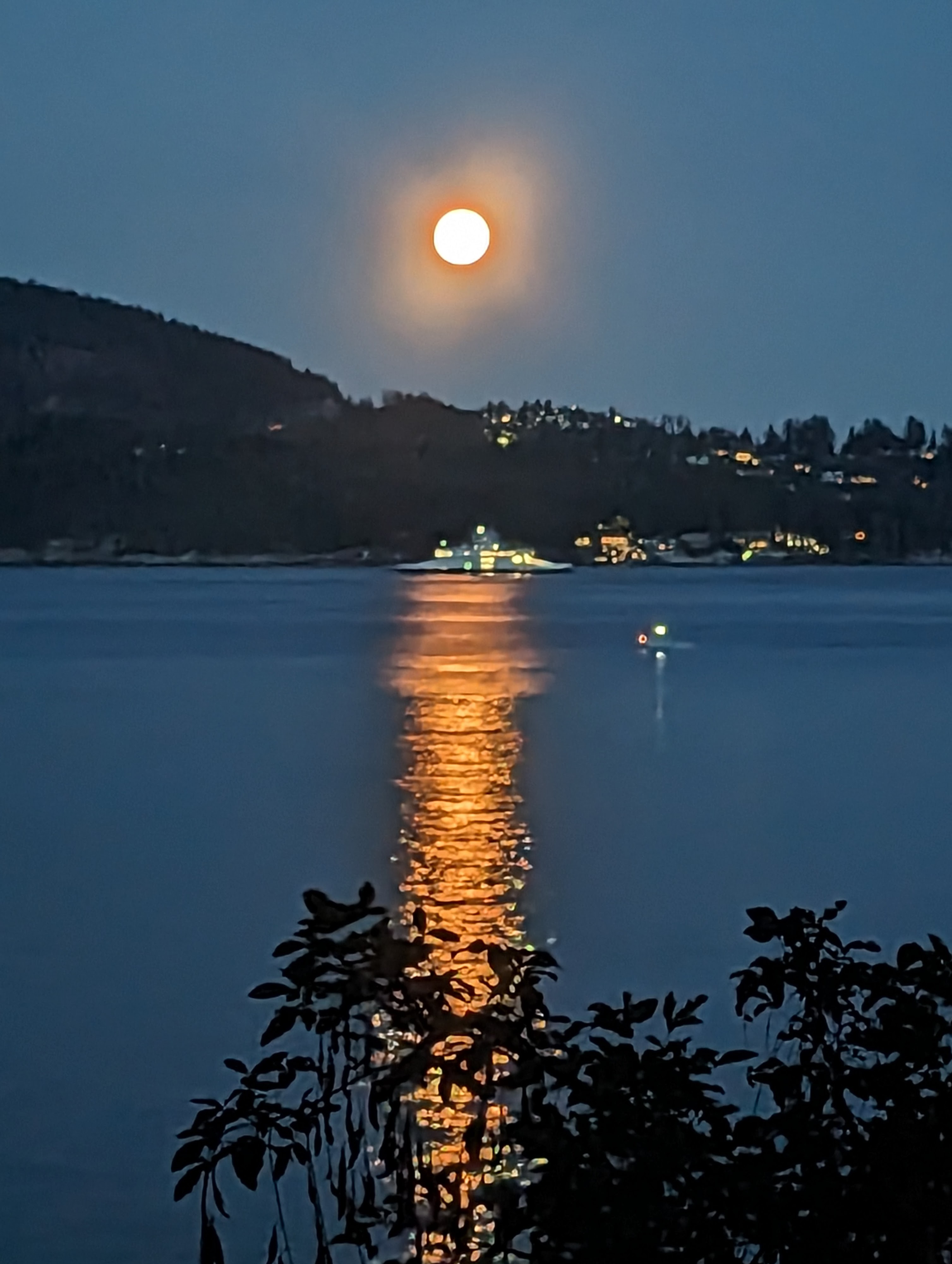 Is the Bowen Island Ferry on schedule Bowen Island