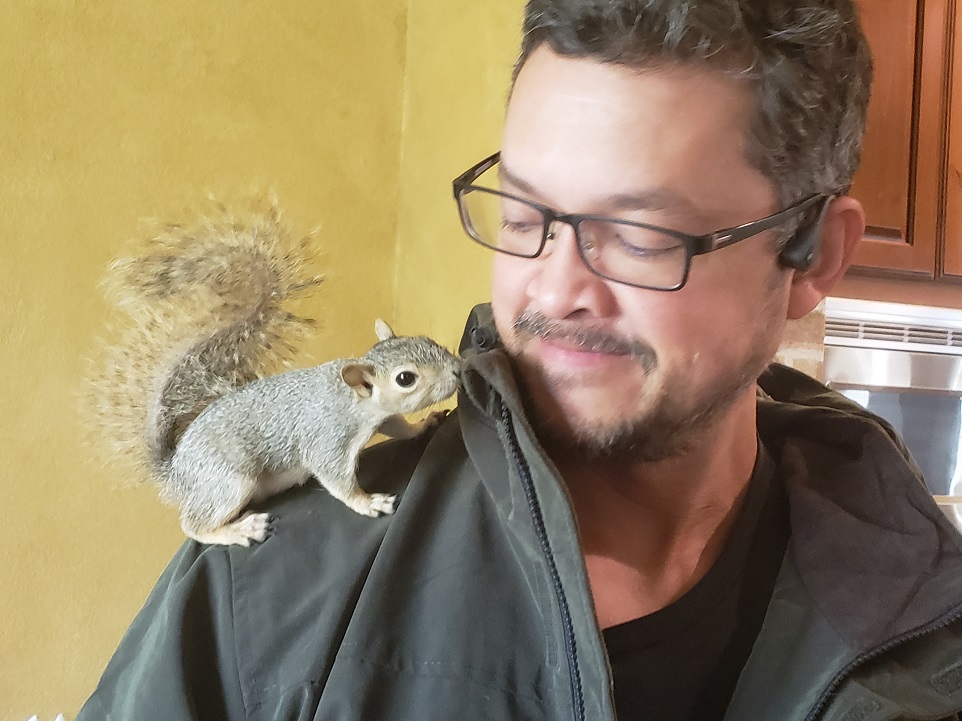 Peaches the Squirrel Firefly Haus