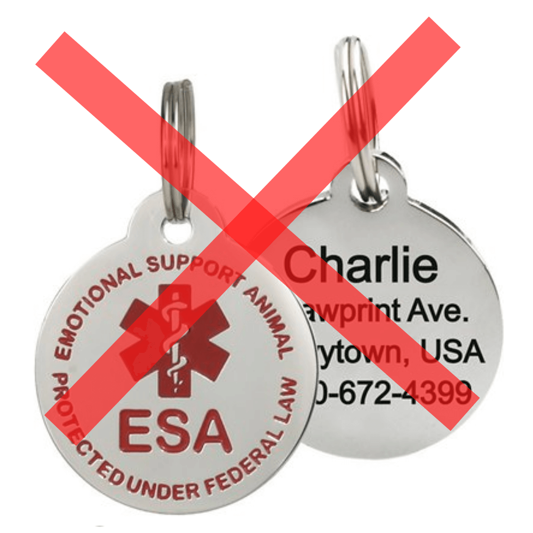 Service Dogs vs Pets and "ESA" in Vacation Rental Cabins Blue