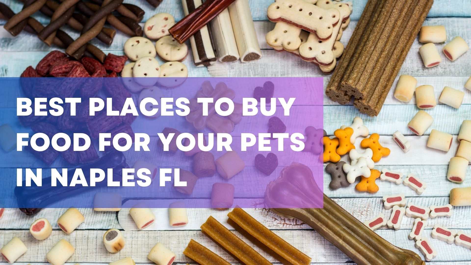 3 Best Places To Buy Food For Your Pets In Naples FL Naples Florida