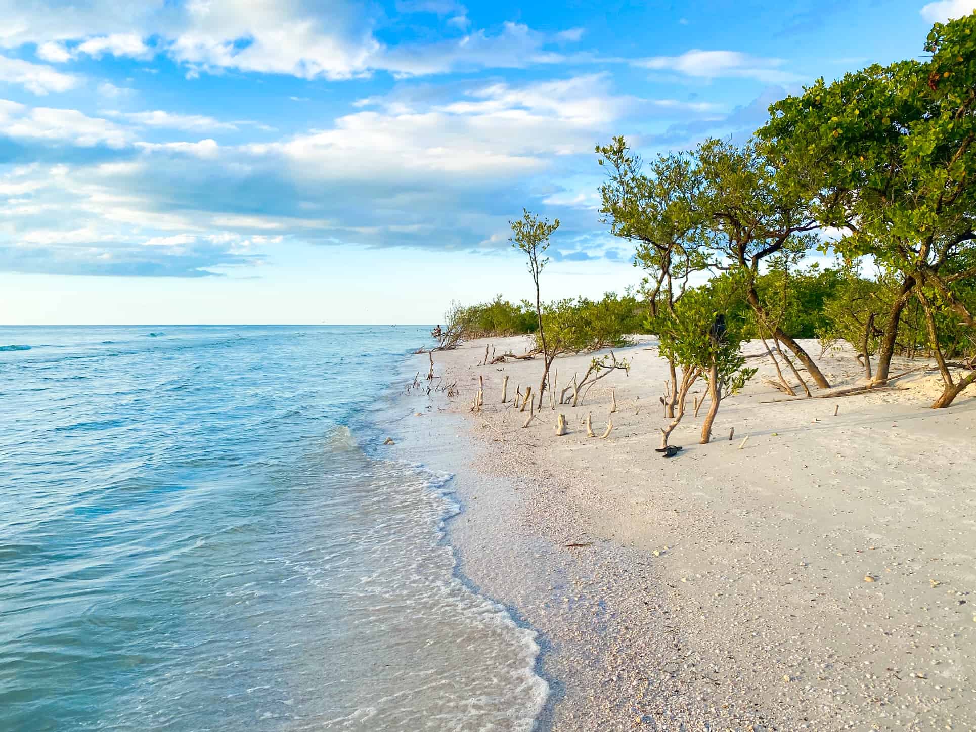 Why You Should Visit The Honeymoon Island State Park 1 Rated Vacation Rentals in Tampa Bay