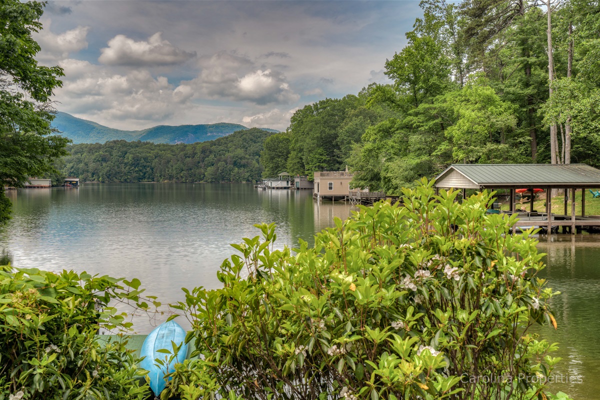 Lure Me Carolina Properties