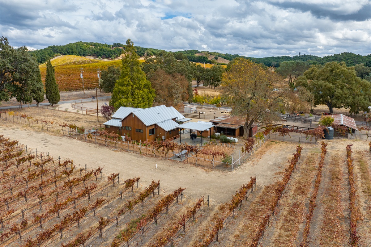 Casita Oso Libre Templeton Vacation Rentals