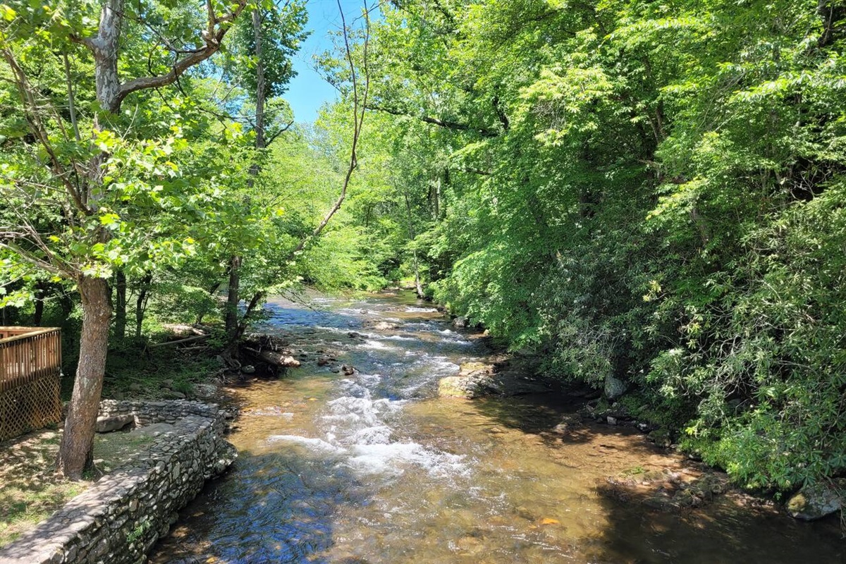 Deep Creek Lodge Apartment Sleeps 4! LIV! Stays