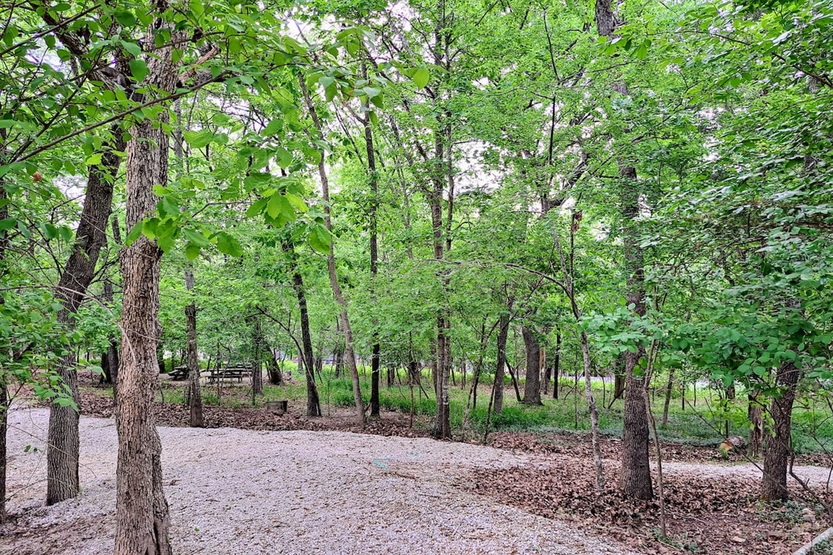 Timber Point 9 Timber Point