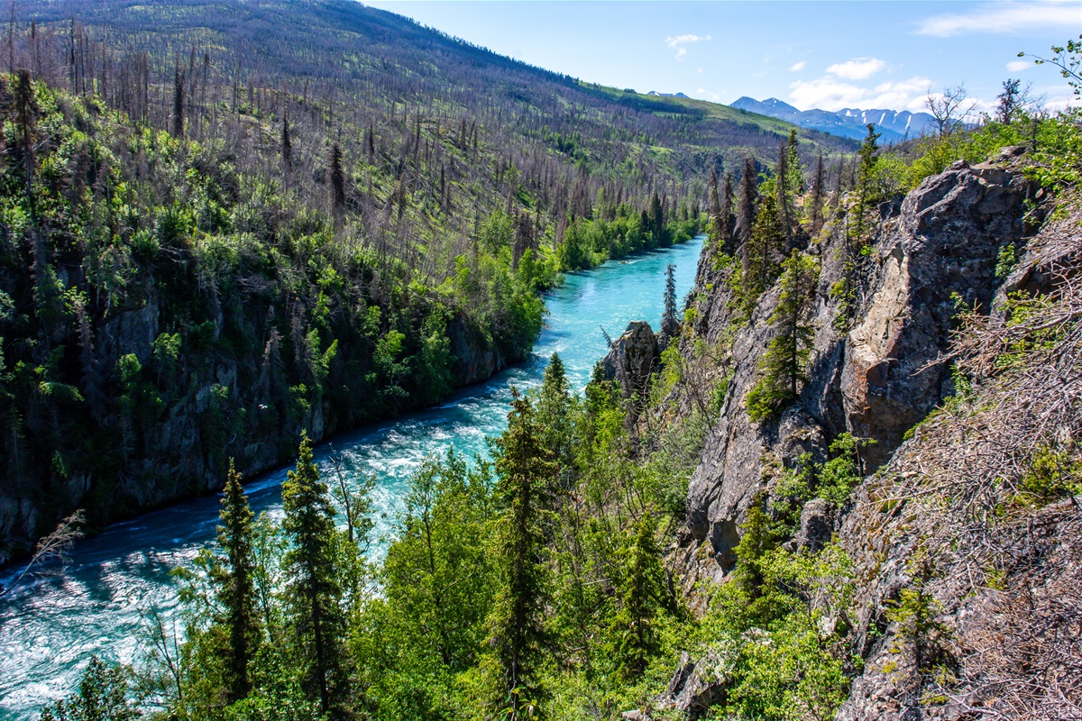 Kenai Peninsula Vacation Rentals