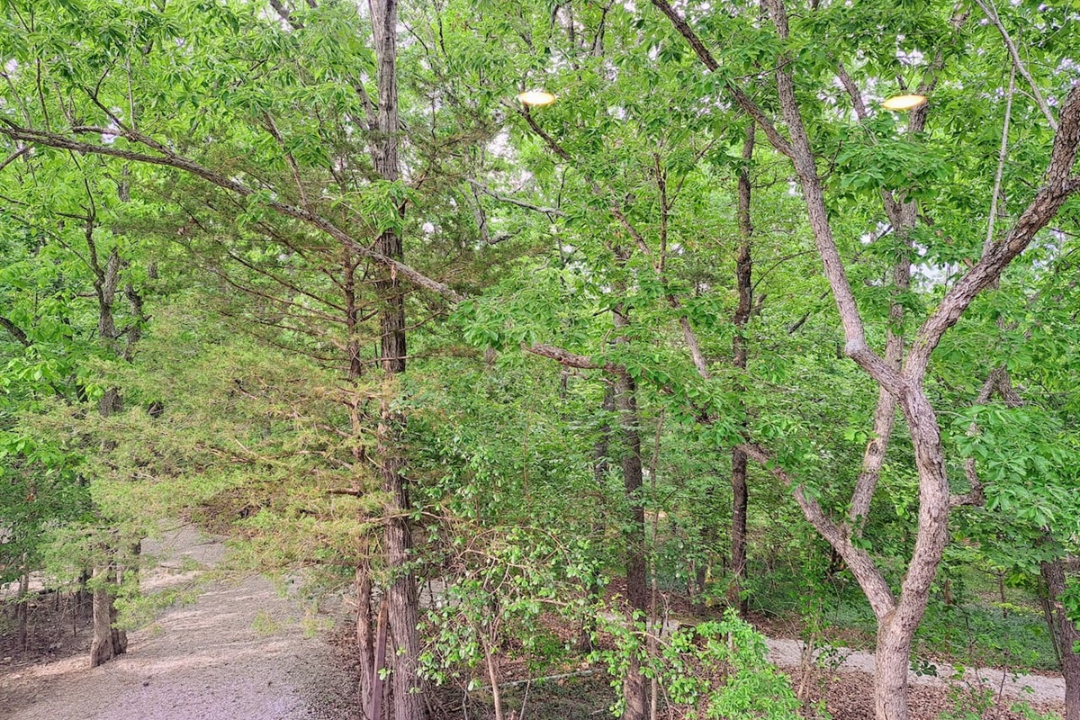 Timber Point 9 Timber Point