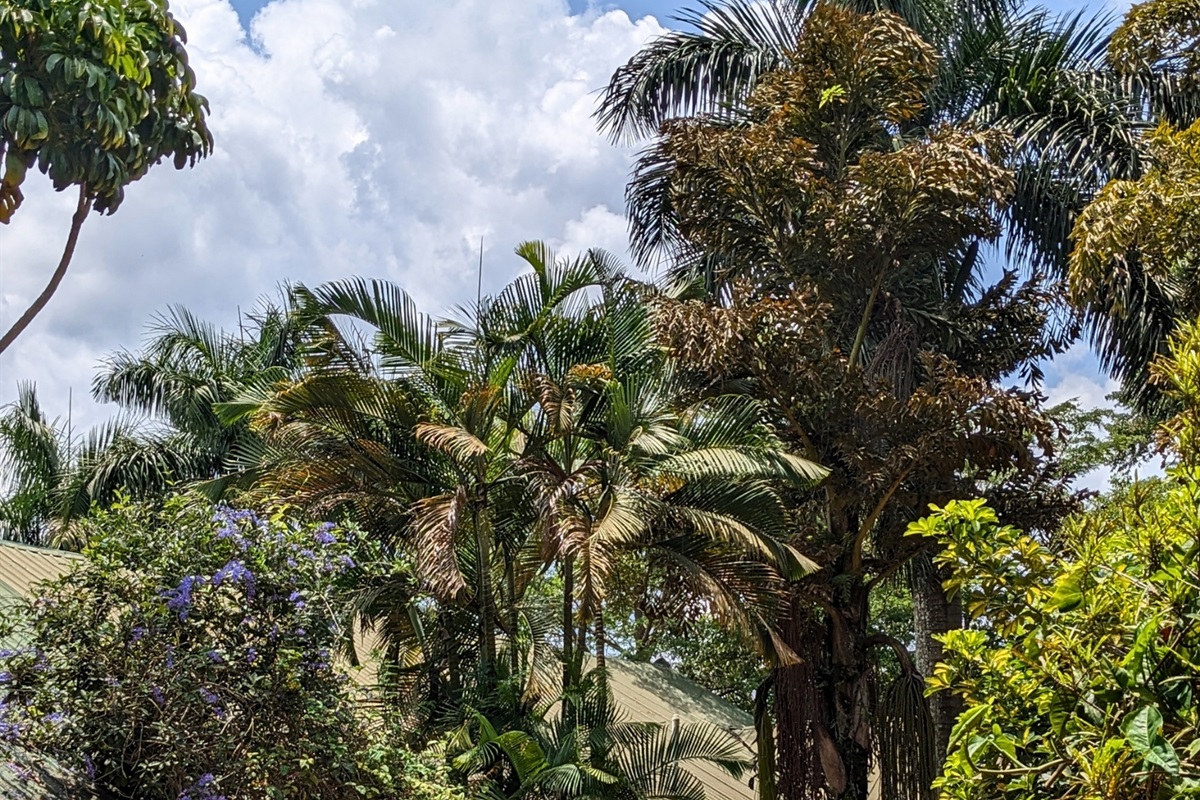 Nile Sunset Villa Nile Garden Lodging